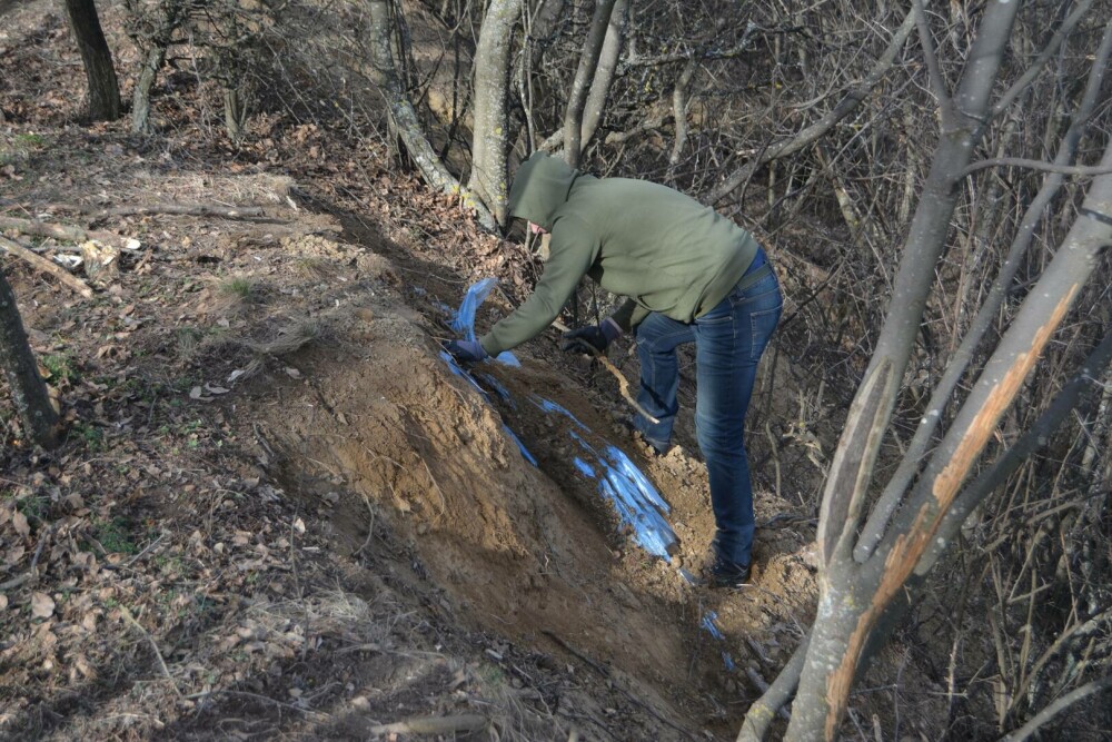 Ciobanul din Prahova care tot face descoperiri ieșite din comun. De data aceasta, ce a găsit are 5.000 de ani | FOTO - Imaginea 7