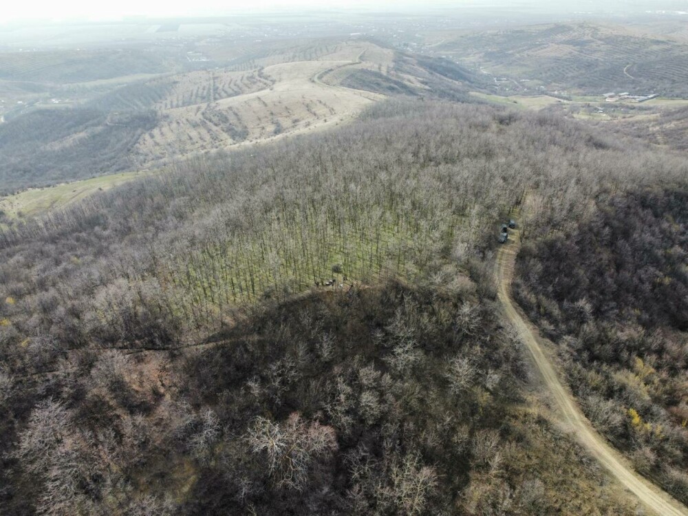 Ciobanul din Prahova care tot face descoperiri ieșite din comun. De data aceasta, ce a găsit are 5.000 de ani | FOTO - Imaginea 8