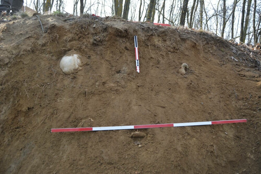 Ciobanul din Prahova care tot face descoperiri ieșite din comun. De data aceasta, ce a găsit are 5.000 de ani | FOTO - Imaginea 9