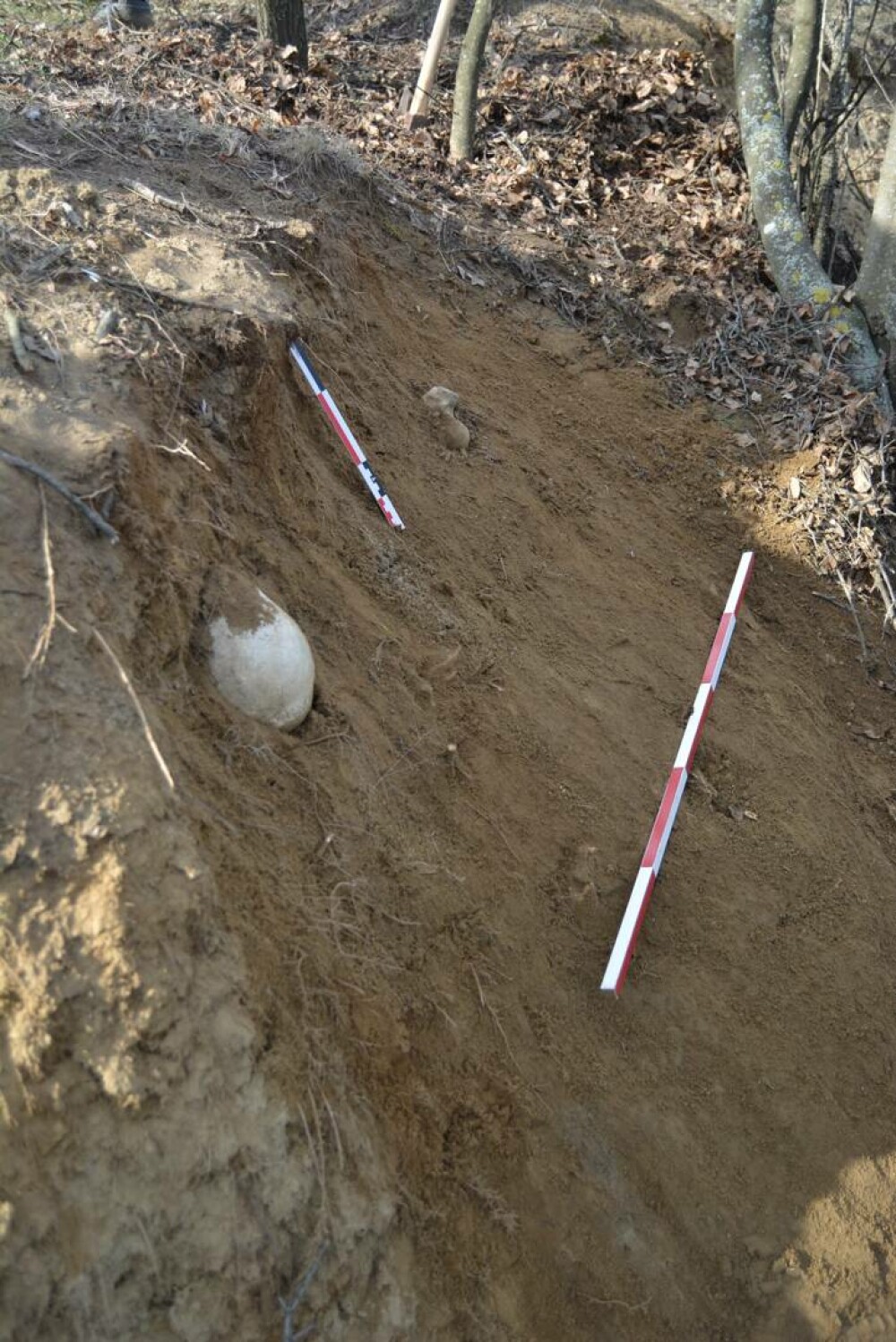 Ciobanul din Prahova care tot face descoperiri ieșite din comun. De data aceasta, ce a găsit are 5.000 de ani | FOTO - Imaginea 11