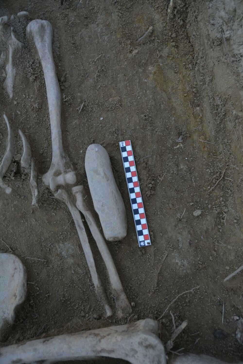 Ciobanul din Prahova care tot face descoperiri ieșite din comun. De data aceasta, ce a găsit are 5.000 de ani | FOTO - Imaginea 18