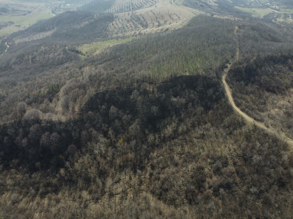 Ciobanul din Prahova care tot face descoperiri ieșite din comun. De data aceasta, ce a găsit are 5.000 de ani | FOTO - Imaginea 20