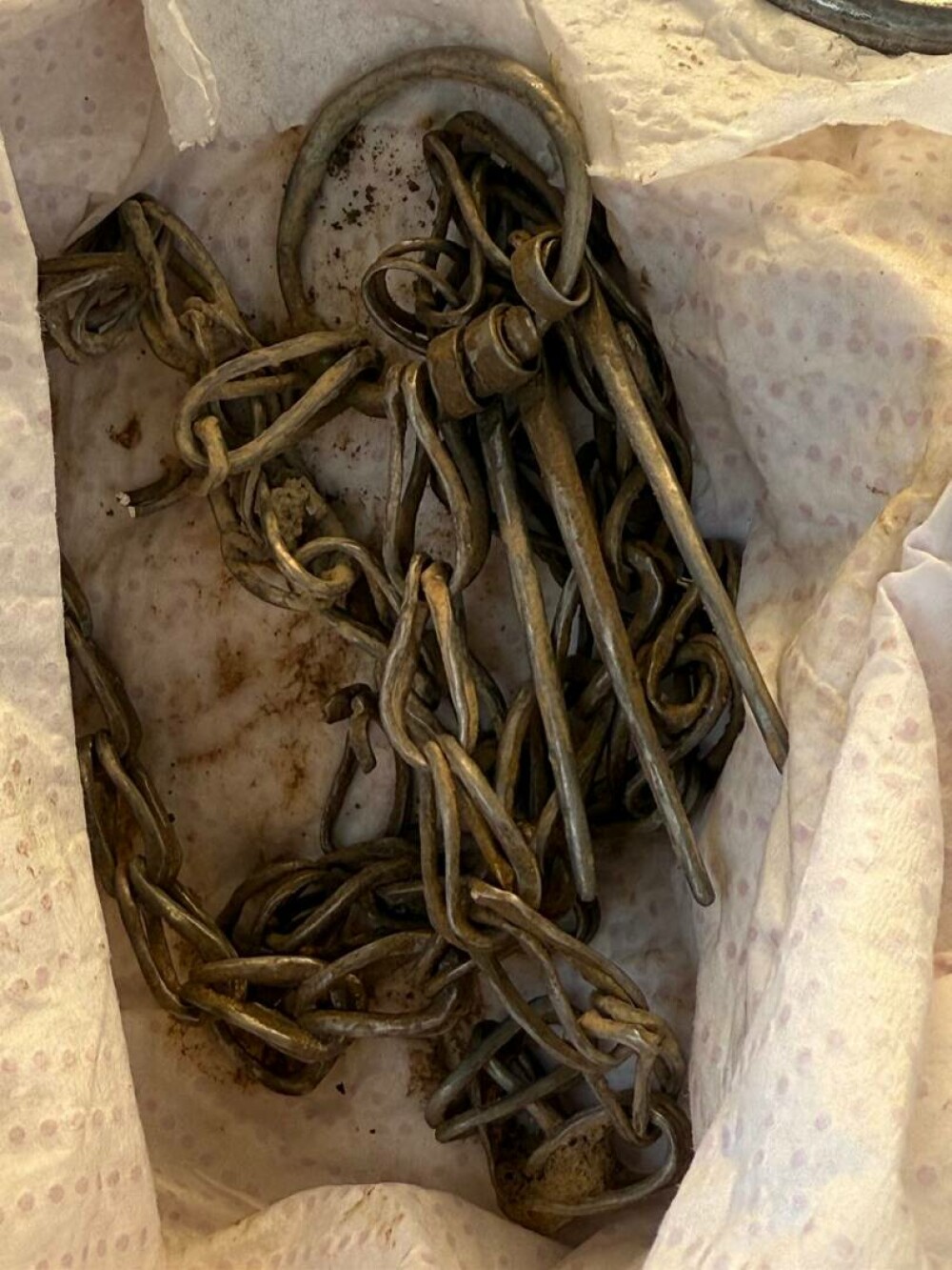 Tezaurul dacic descoperit în Mureș ar fi aparținut unui aristrocat. Arheleogii caută răspunsuri | GALERIE FOTO - Imaginea 5