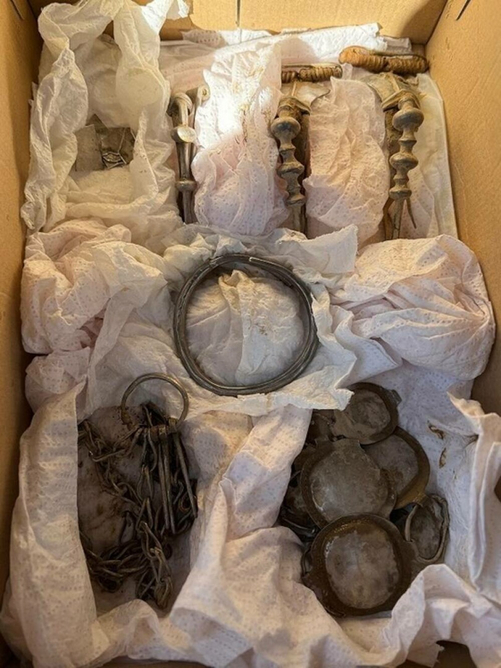 Tezaurul dacic descoperit în Mureș ar fi aparținut unui aristrocat. Arheleogii caută răspunsuri | GALERIE FOTO - Imaginea 6