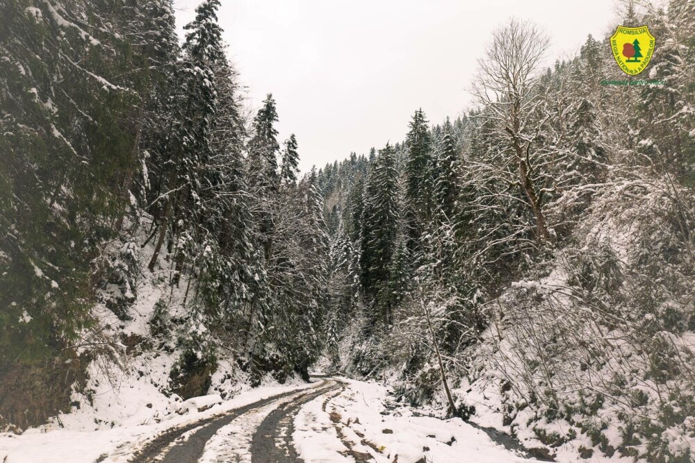 Statul român a făcut cea mai mare achiziție de acest fel din istoria sa. Suma uriașă plătită pentru comoara din Neamț | FOTO - Imaginea 1