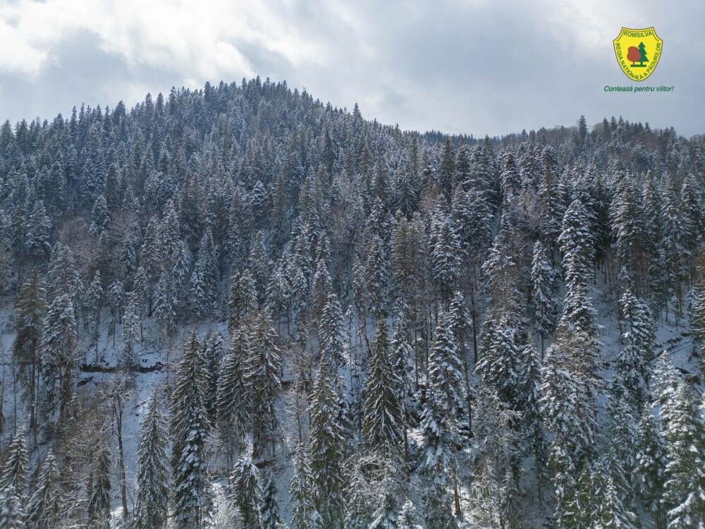 Statul român a făcut cea mai mare achiziție de acest fel din istoria sa. Suma uriașă plătită pentru comoara din Neamț | FOTO - Imaginea 3