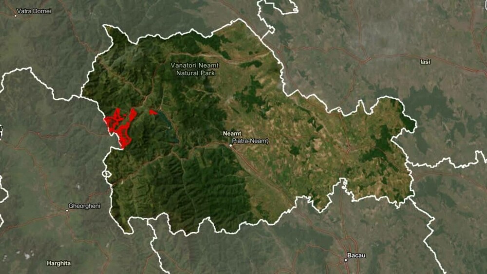 Statul român a făcut cea mai mare achiziție de acest fel din istoria sa. Suma uriașă plătită pentru comoara din Neamț | FOTO - Imaginea 4