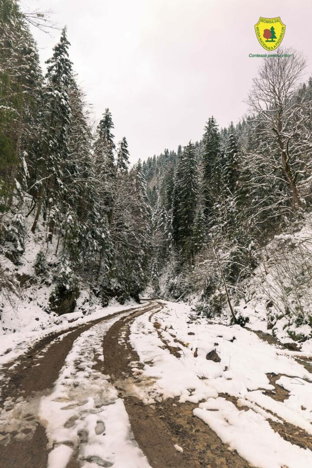 Statul român a făcut cea mai mare achiziție de acest fel din istoria sa. Suma uriașă plătită pentru comoara din Neamț | FOTO - Imaginea 6