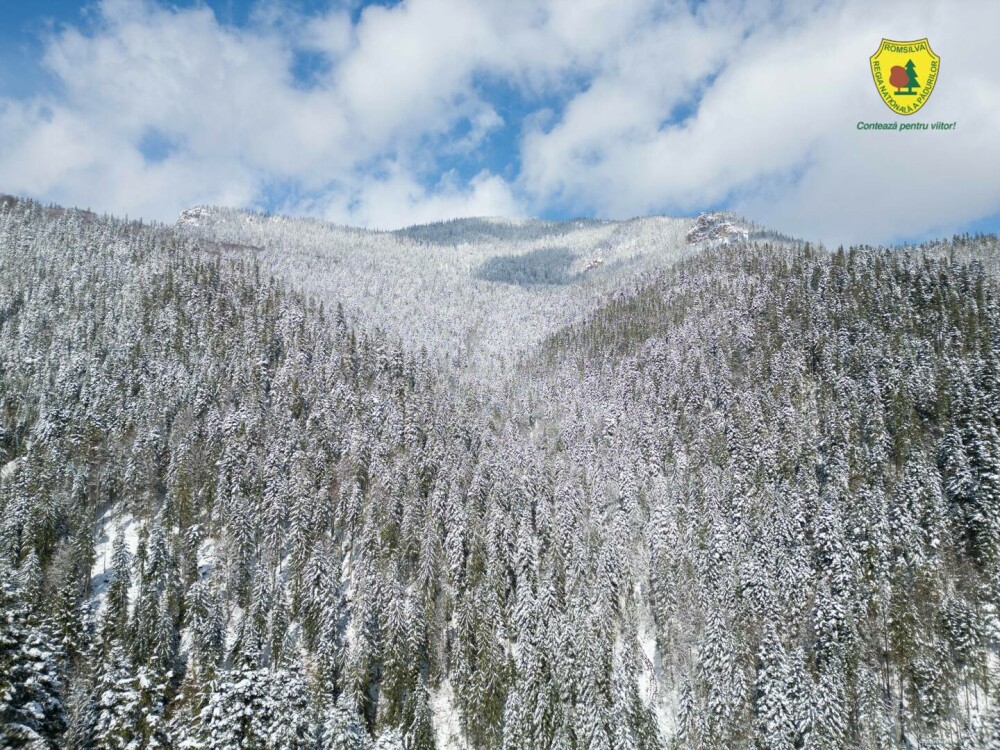 Statul român a făcut cea mai mare achiziție de acest fel din istoria sa. Suma uriașă plătită pentru comoara din Neamț | FOTO - Imaginea 7