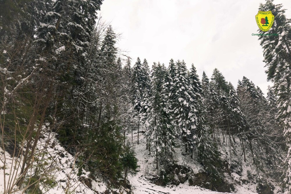 Statul român a făcut cea mai mare achiziție de acest fel din istoria sa. Suma uriașă plătită pentru comoara din Neamț | FOTO - Imaginea 8