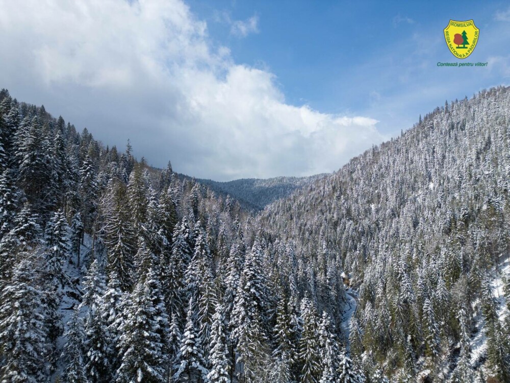 Statul român a făcut cea mai mare achiziție de acest fel din istoria sa. Suma uriașă plătită pentru comoara din Neamț | FOTO - Imaginea 9