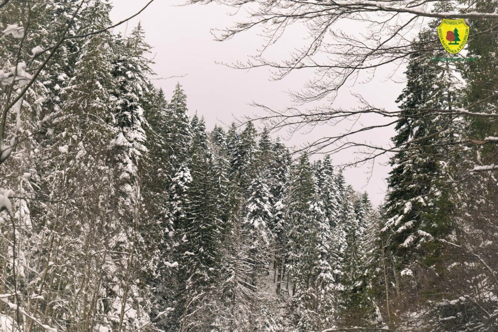 Statul român a făcut cea mai mare achiziție de acest fel din istoria sa. Suma uriașă plătită pentru comoara din Neamț | FOTO - Imaginea 12