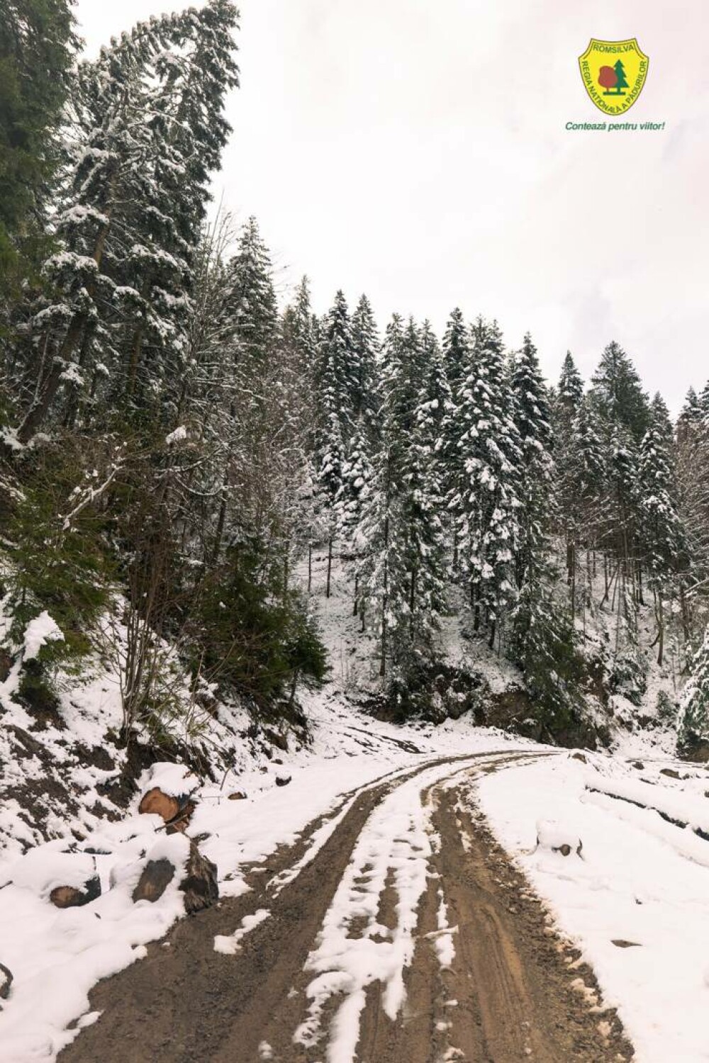 Statul român a făcut cea mai mare achiziție de acest fel din istoria sa. Suma uriașă plătită pentru comoara din Neamț | FOTO - Imaginea 13