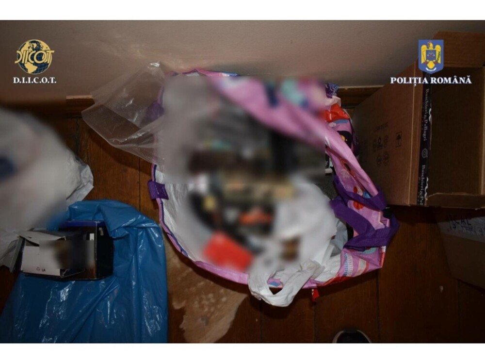 Șapte români au furat tractoare de peste 1,6 milioane de euro din Italia. Ce au descoperit anchetatorii la percheziții. FOTO - Imaginea 3