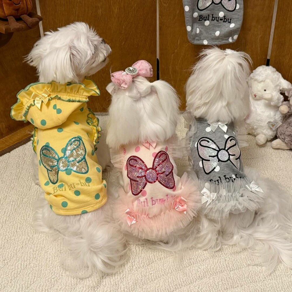 O femeie din China a cheltuit 280.000 de dolari pe haine și accesorii pentru câinii săi. GALERIE FOTO - Imaginea 1