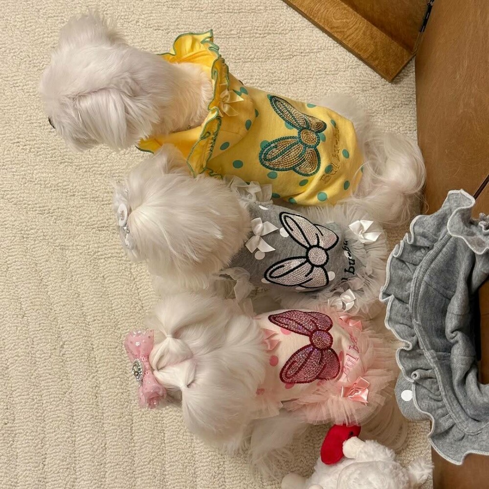 O femeie din China a cheltuit 280.000 de dolari pe haine și accesorii pentru câinii săi. GALERIE FOTO - Imaginea 2