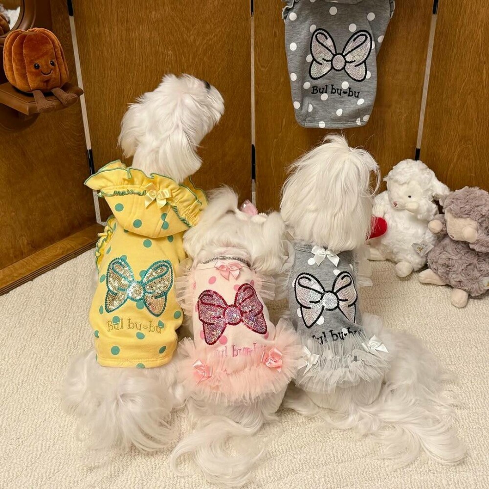 O femeie din China a cheltuit 280.000 de dolari pe haine și accesorii pentru câinii săi. GALERIE FOTO - Imaginea 3