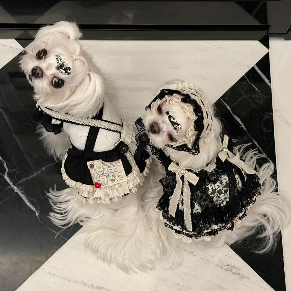 O femeie din China a cheltuit 280.000 de dolari pe haine și accesorii pentru câinii săi. GALERIE FOTO - Imaginea 5