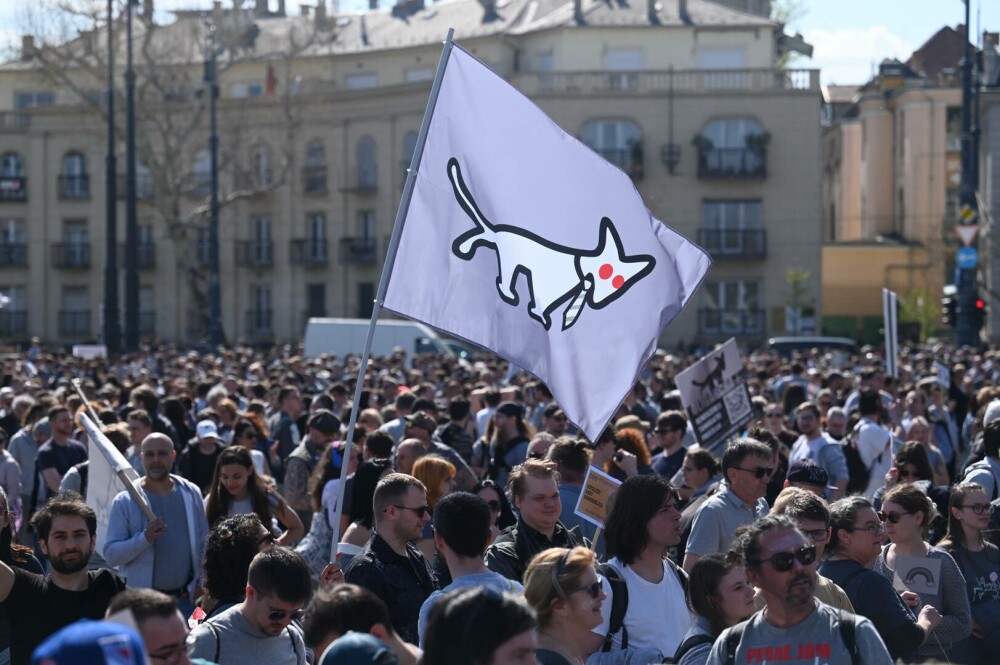 Protestatarii maghiari ironizează măsurile anti-LGBT ale lui Viktor Orban. „Să fim toţi la fel” - Imaginea 2