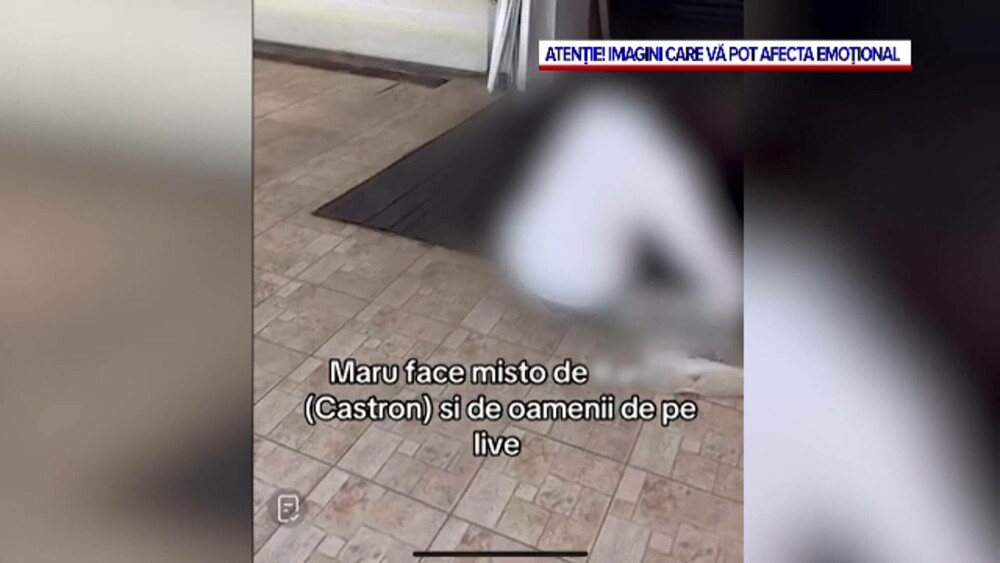 Dealerul lui Vlad Pascu râdea și îl filma pe tânărul mort după o supradoză, în timp ce acesta se stingea în chinuri cumplite - Imaginea 4