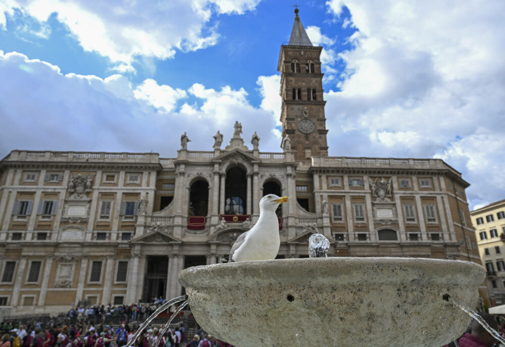 Cozi uriașe la Vatican. Imagini emoționante cu miile de credincioși care i-au adus un omagiu lui Papa Francisc. GALERIE FOTO - Imaginea 19