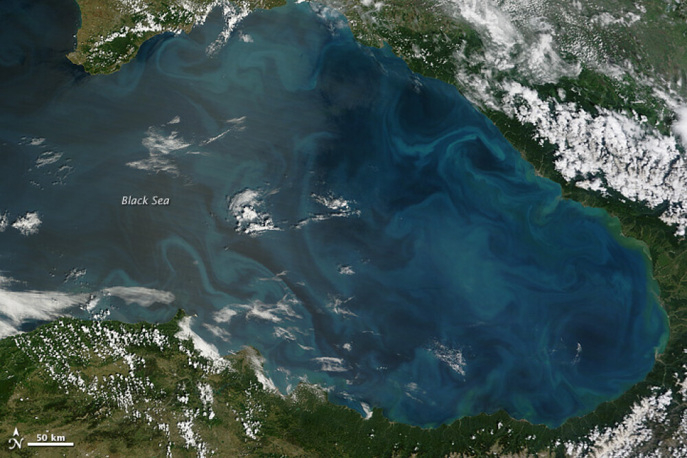 Explicatia specialistilor de la Antipa despre fenomenul din Marea Neagra. De ce isi schimba culoarea - Imaginea 2