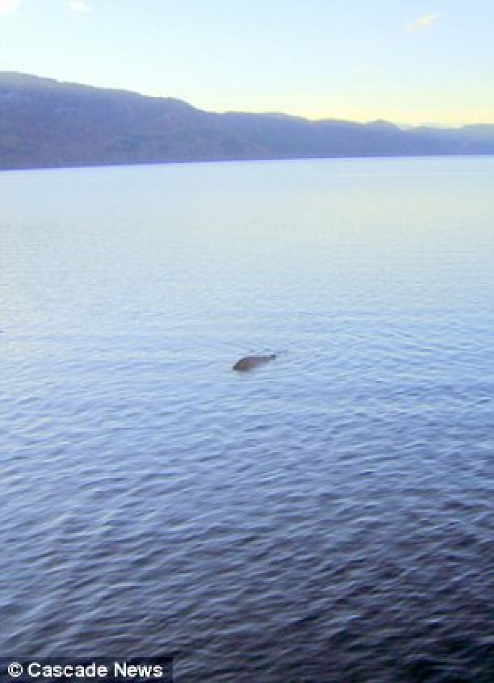 De 26 de ani cauta monstrul din Loch Ness. Astazi, acest barbat este sigur ca l-a fotografiat - Imaginea 3