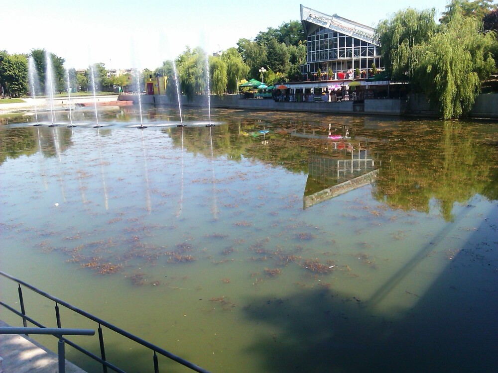 Lacul din Arad, sufocat de alge. Primaria e depasita de situatie, vizitatorii sunt dezgustati - Imaginea 8