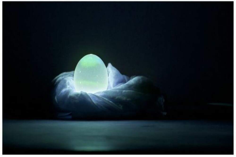 Cum poti sa transformi un ou intr-o lampa. Inventia unui barbat din SUA - Imaginea 2