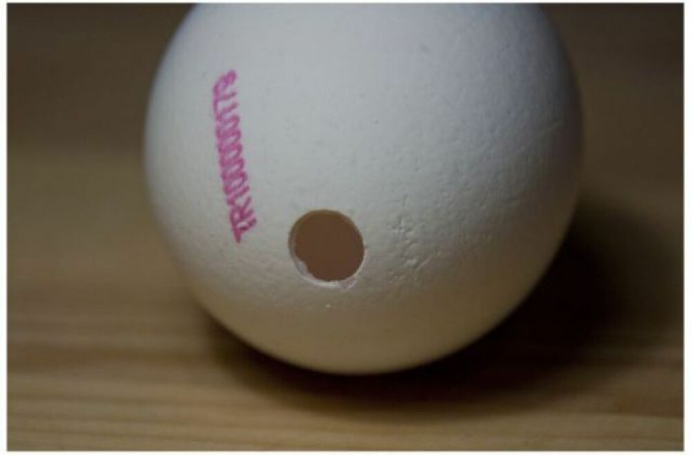 Cum poti sa transformi un ou intr-o lampa. Inventia unui barbat din SUA - Imaginea 4