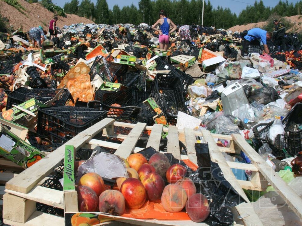 Rusii rascolesc prin alimentele distruse de Putin, in timp ce Moscova e acuzata ca-si taie singura craca de sub picioare - Imaginea 1