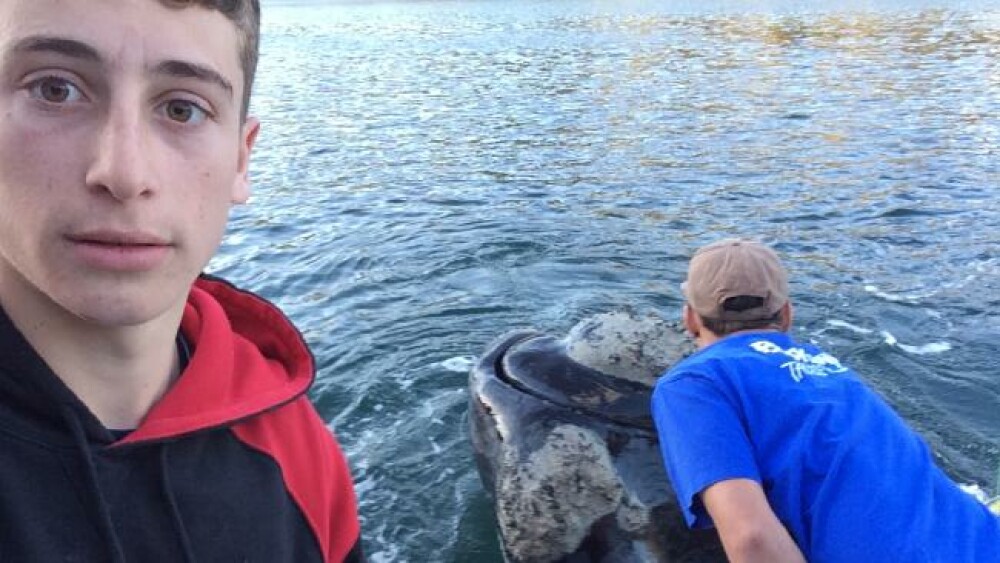 Un pescar si-a facut un selfie cu o balena care s-a apropiat de barca. Ce face in acest timp prietenul lui. VIDEO - Imaginea 1