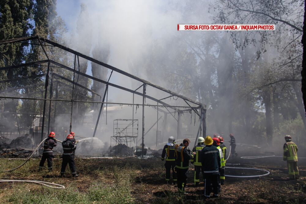 Incendiu la clubul Chaboo din Capitala. Flacari uriase au pornit langa piscina si au distrus un cort. VIDEO - Imaginea 9