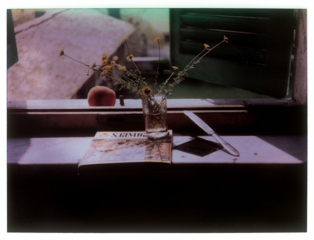 Fotografiile Polaroid facute de celebrul regizor rus Andrei Tarkovski, scoase la licitatie: 