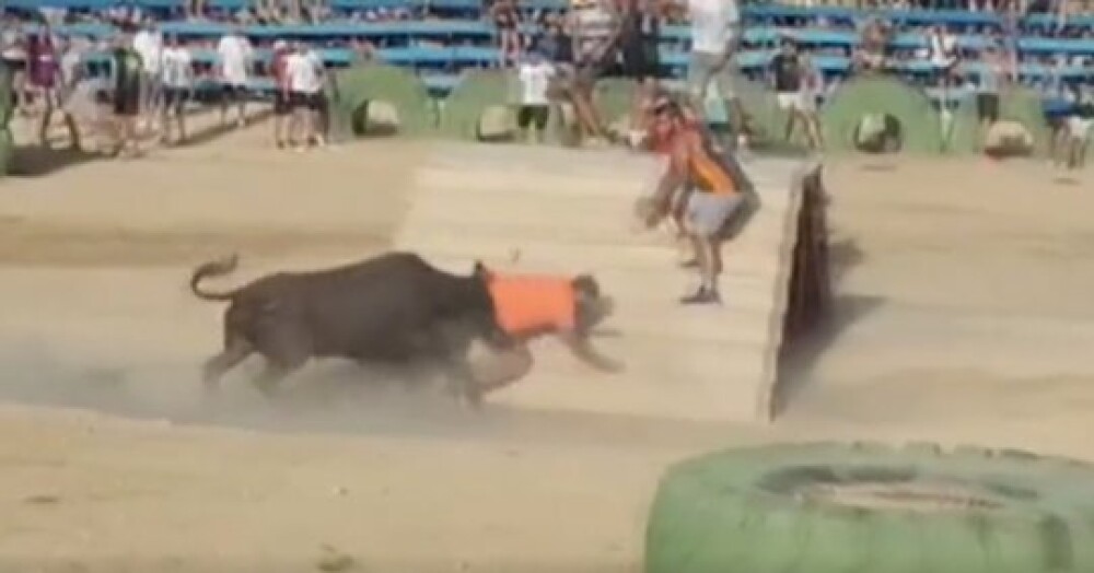 Festival încheiat tragic, în Spania. Un tânăr împuns de taur a sângerat până la moarte - Imaginea 2