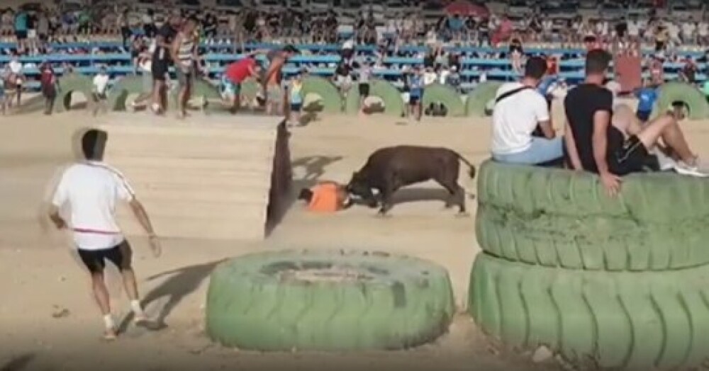 Festival încheiat tragic, în Spania. Un tânăr împuns de taur a sângerat până la moarte - Imaginea 4