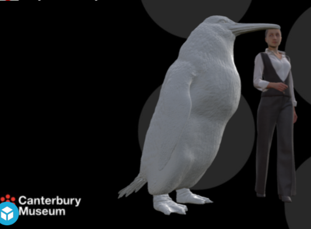 Descoperire neașteptată: o specie de pinguin gigant a trăit în Noua Zeelandă - Imaginea 2