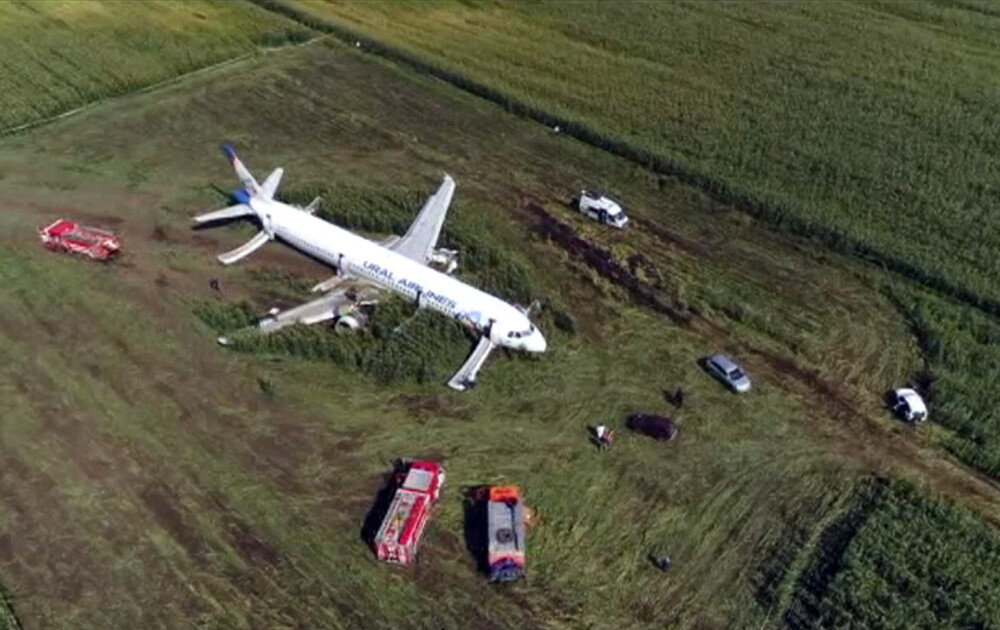 Momentul în care avionul cu 233 de oameni la bord a lovit un stol de păsări. VIDEO - Imaginea 1