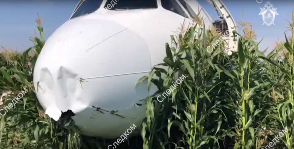 Momentul în care avionul cu 233 de oameni la bord a lovit un stol de păsări. VIDEO - Imaginea 3