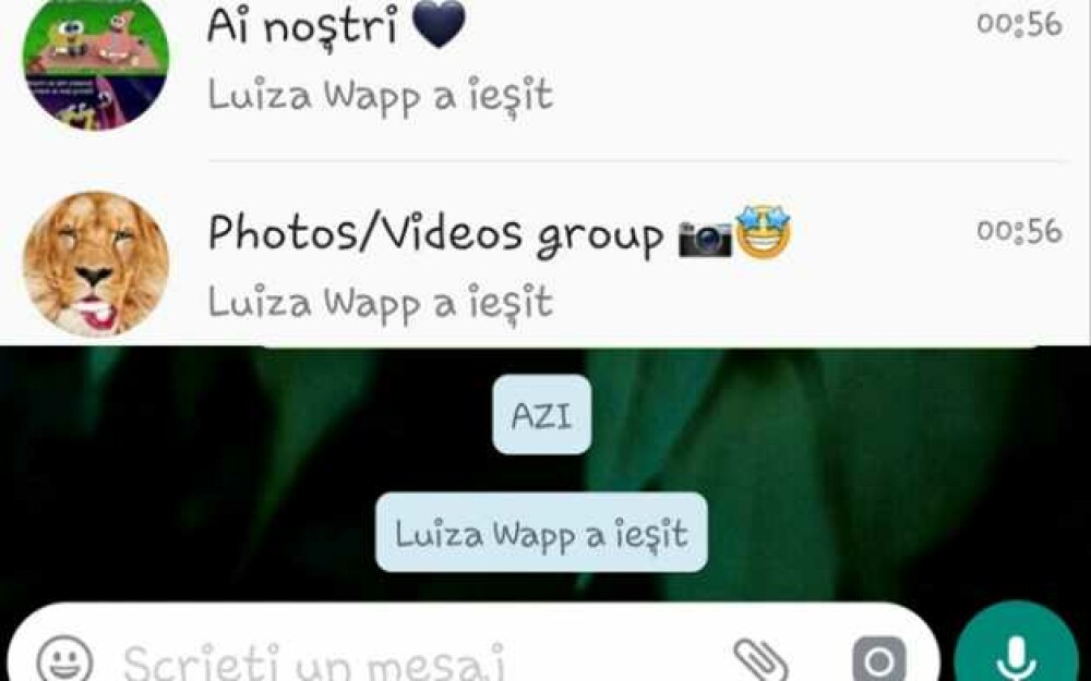 Activitate suspectă pe WhatsApp-ul Luizei Melencu. Posibilele explicații - Imaginea 1