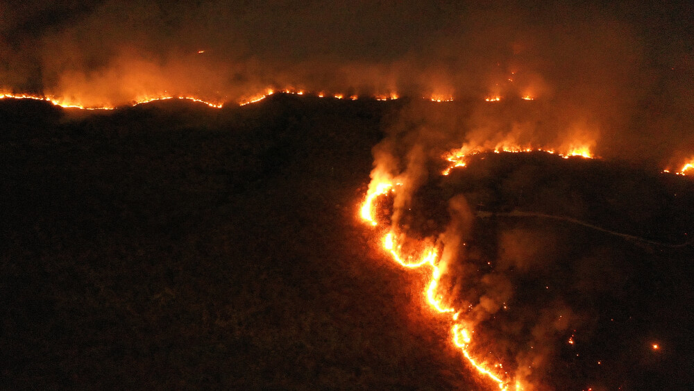 Forbes: Tot ce s-a spus despre incendiile din Amazon și ”plămânul planetei” este greșit - Imaginea 8