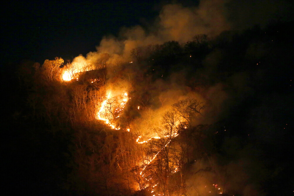 Arde pădurea Amazonului. Președintele Franței vorbește despre o ”criză internațională” - Imaginea 3