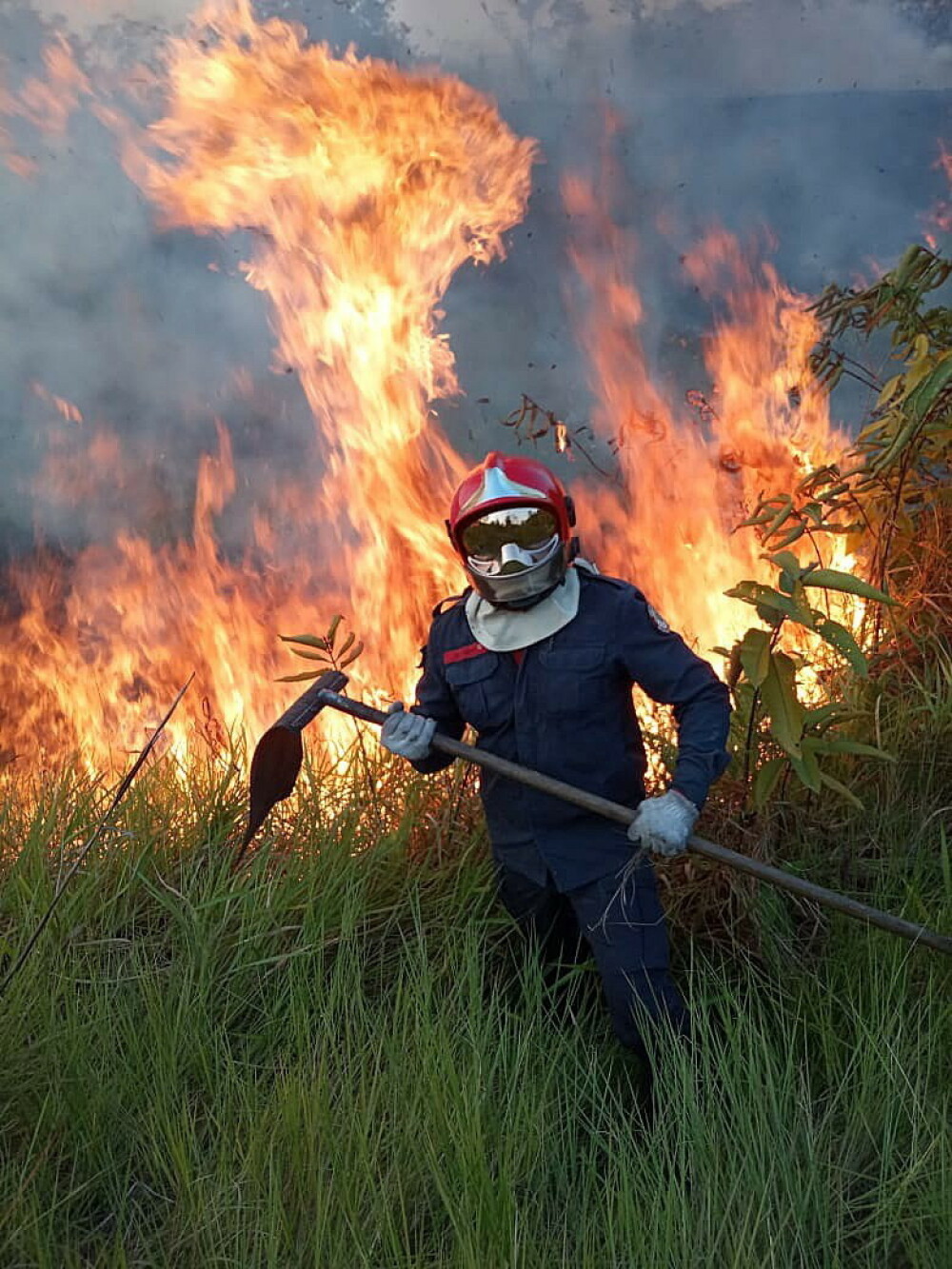 Arde pădurea Amazonului. Președintele Franței vorbește despre o ”criză internațională” - Imaginea 4