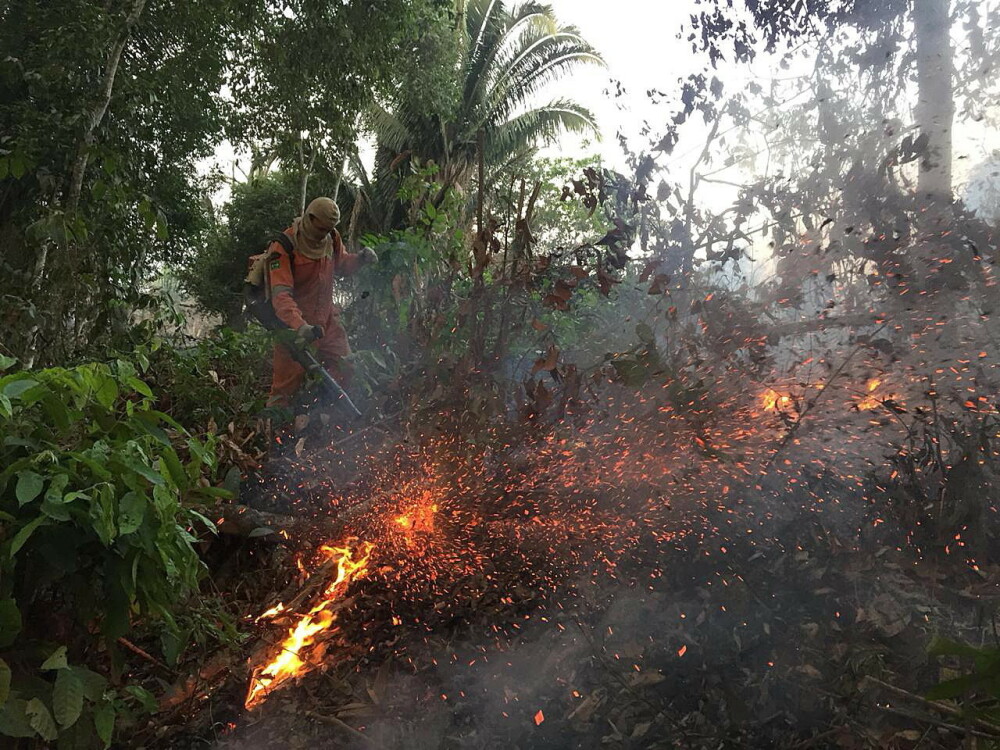 Arde pădurea Amazonului. Președintele Franței vorbește despre o ”criză internațională” - Imaginea 5