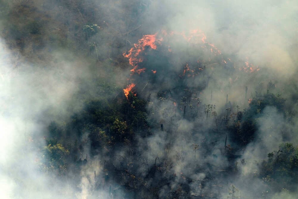 Forbes: Tot ce s-a spus despre incendiile din Amazon și ”plămânul planetei” este greșit - Imaginea 3