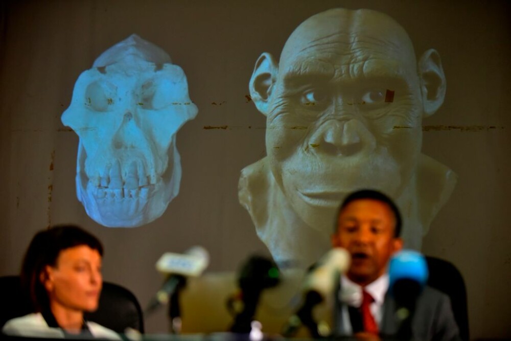 Descoperire incredibilă: Craniu vechi de 3,8 milioane de ani, găsit în Etiopia - Imaginea 2