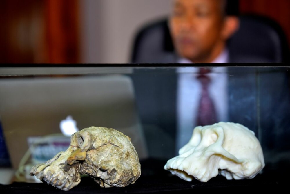 Descoperire incredibilă: Craniu vechi de 3,8 milioane de ani, găsit în Etiopia - Imaginea 3