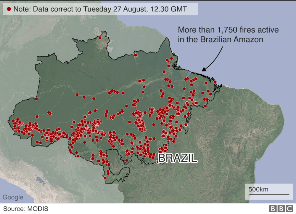 Decizia președintelui Braziliei pentru a pune capăt incendiilor din Amazon - Imaginea 2