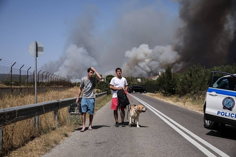 Teroare în Atena. Mai multe case au ars, două suburbii au fost evacuate. Valul de căldură a atins cote maxime - Imaginea 1