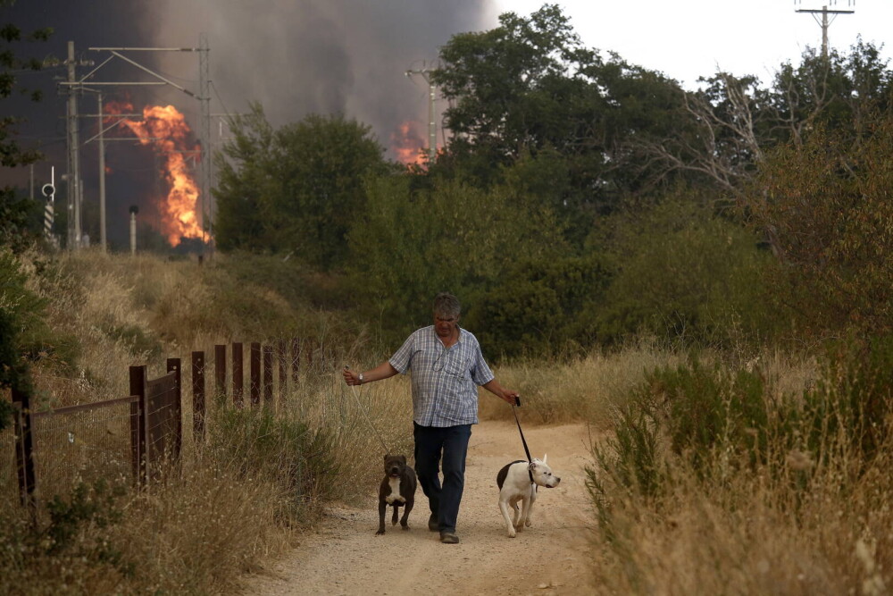 Teroare în Atena. Mai multe case au ars, două suburbii au fost evacuate. Valul de căldură a atins cote maxime - Imaginea 5